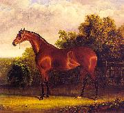 Herring, John F. Sr. Negotiator the Bay Horse in a Landscape china oil painting artist